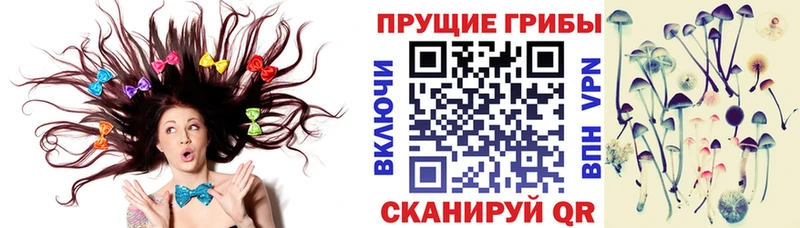 Псилоцибиновые грибы Magic Shrooms OMG ССЫЛКА Вятские Поляны